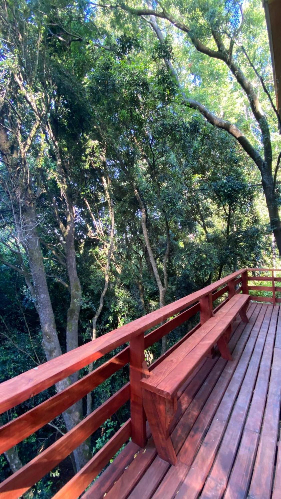 Casa de férias En El Bosque *